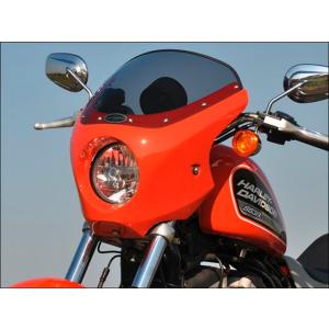 TERADAMOTORS Sportster IRON 883 カウル・エアロ XL883N アルミ製