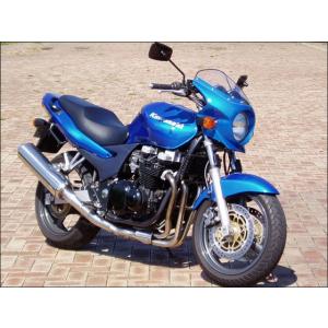 ワールドウォーク（WORLD WARK） ZR-7 ZR7 ビキニカウル DS-01 タイプ