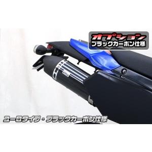Kawasaki D-TrackerX デルタバレル4マフラー DELTA（デルタ） バレル4サイレンサー KLX250/Dトラッカー '08