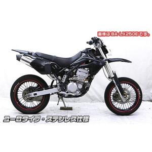 PENSKE ペンスケ ダウンアップフルエキゾーストマフラー D-TRACKER [D