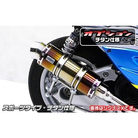 WirusWin ウイルズウィン スリップオンマフラー スポーツタイプ Dトラッカー KLX250