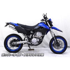 RSV アールエスブイ 4ストシリーズIIIサイレンサーアップタイプ KLX250