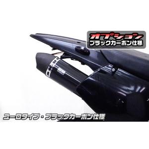 SECRET SPEED☆カワサキ Dトラッカー250 KLX250 FI インジェクション車