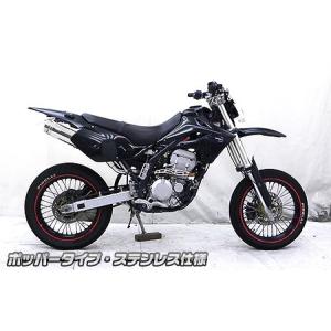 WirusWin ウイルズウィン スリップオンマフラー ポッパータイプ Dトラッカー KLX250｜webike