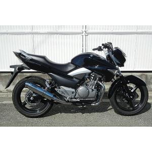 REALIZE（リアライズ） Realize GSR250 バイクマフラー JBK-GJ55D 2012