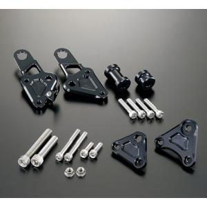 GOODS（グッズ） パイプワークフロントフェンダー 250TR KAWASAKI
