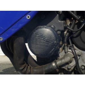 EIGHT(才谷屋) エイト(サイタニヤ) エンジンプロテクター CBR250RR (MC22) ホ...