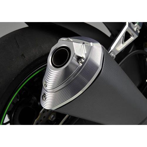 AGRAS アグラス マフラーエンドキャップ ZX-10R KAWASAKI カワサキ マフラー