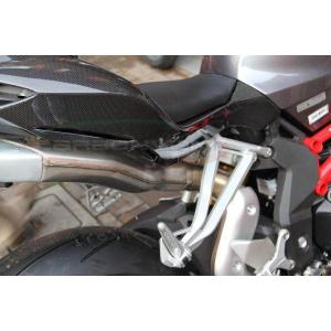 MV AGUSTA アグスタ F4 (Y13-15) フェンダーレスキット SFA-K05BK