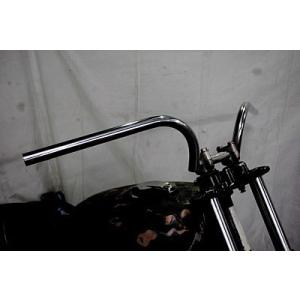 DAYTONA（デイトナ） ステンレスショートフェンダー 250TR KAWASAKI