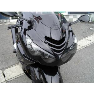 PLEASURE プレジャー ダクトルーバー カラー：メタリックスパークブラック塗装 Ninja Z...