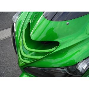 PLEASURE プレジャー ダクトルーバー カラー：無塗装 黒ゲル Ninja ZX-14R KA...