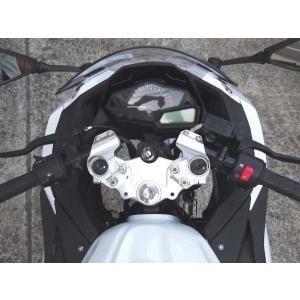 ニンジャ250 13-17年EX250L BEET ナサート エボリューションevo