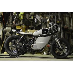 U-KANAYA（ユーカナヤ） ローダウンリンク ZRX1200ダエグ KAWASAKI