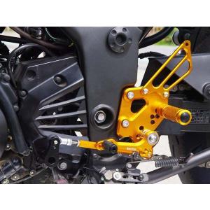 カワサキ（Kawasaki） KAWASAKIi NINJA 250 300 バックステップ 可変