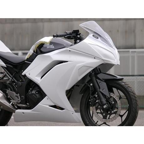 才谷屋 サイタニヤ フルカウル カラー：白ゲル(ビス留め仕様) ニンジャ250 KAWASAKI カ...