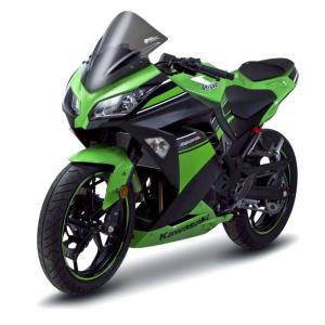 Magical Racing（マジカルレーシング） バイザースクリーン Z1000