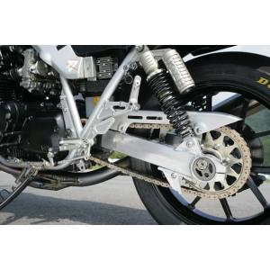 NITRO RACING ナイトロレーシング GSX1100S KATANA バック