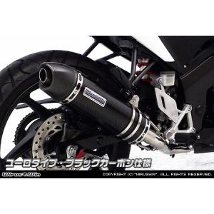 バイク ホンダ　CBR125R  マフラー　WIRUS WIN WirusWin（ウイルズウィン） ダイナミックマフラー カラー：ステンレス