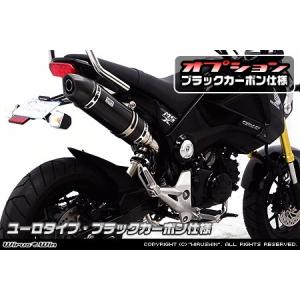 DEVIL EVOLUTION デビルエボリューション フルシステムマフラー D2.1