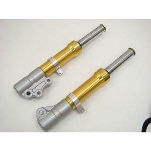 KN企画 ケイエヌキカク Gスペシャル Gアクシス【5FA2-】ゴールドフォーク/レッドキャリパー ...