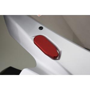 DRIVEN ドリブン ミラーエリミネーター カラー：チタン DAYTONA675 [デイトナ] T...