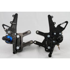 DRIVEN ドリブン D-Axis バックステップ エキセントリックカラー：レッド / ステップタ...