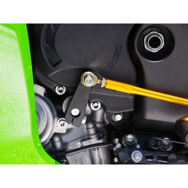 BABYFACE ベビーフェイス リバースキット ZX-10R KAWASAKI カワサキ その他ス...