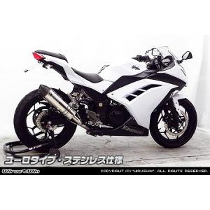 AKRAPOVIC（アクラポビッチ） スリップオンライン チタン マフラー