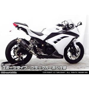 WirusWin ウイルズウィン スリップオンマフラー スポーツタイプ サイレンサー素材：ブラックカーボン仕様 ニンジャ250 KAWASAKI カワサキ｜ウェビック1号店