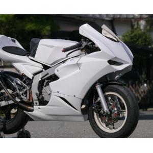 EIGHT(才谷屋) エイト(サイタニヤ) フルカウル NSR50 NSR80 HONDA ホンダ ...