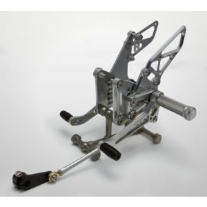 STRIKER（ストライカー） スポーツツーリングコンセプト(STC)ステップ