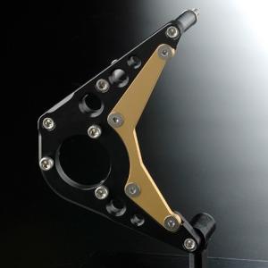 NITRO RACING ナイトロレーシング クラッチレリーズプレートキット カラー：ブラック／ゴー...