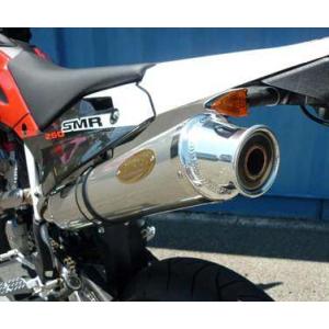 AKRAPOVIC（アクラポビッチ） オプション カーボンヒートシールド MT