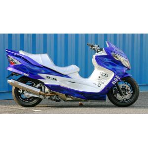 OUTEX OUTEX:アウテックス OUTEX.R-SS フルエキゾーストマフラー スカイウェイブ250 タイプS