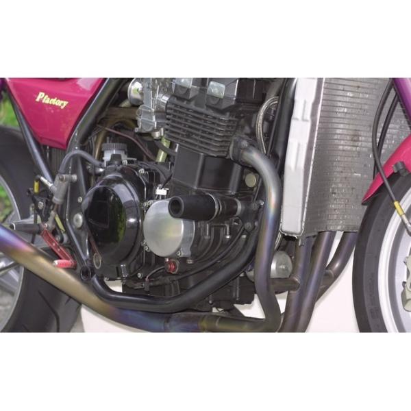 DAYTONA デイトナ エンジンプロテクター ZRX400 KAWASAKI カワサキ エンジンス...
