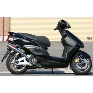 BURIAL ベリアル 【補修部品】GPバージョンマークIIISR用