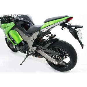 NEXRAY CARBON DRY ネクスレイカーボンドライ リアフェンダー (190/55対応) ...