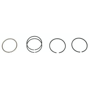 Neofactory ネオファクトリー ピストンリング モリブデン STD SPORTSTERファミ...