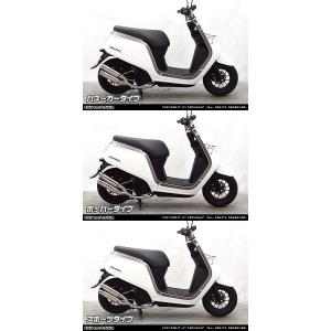 WirusWin HONDA ダンク（AF74・AF78） ハイパフォーマンス マフラー