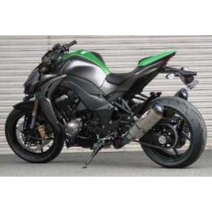 BEET（ビート） BEET Z1000 マフラー NASSERT Evolution Type2 フル