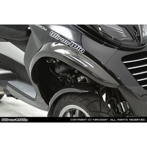 SPEED CARBON スピードカーボン チェーンカバー Monster S2R1000