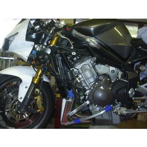 デイトナ675 エキパイマフラー トライアンフ(TRIUMPH) 純正 中古