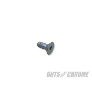 GUTS CHROME ガッツクローム XL用　インスペクションカバースクリュー SPORTSTERファミリー｜ウェビック1号店