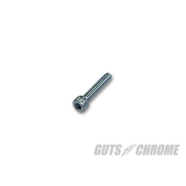GUTS CHROME ガッツクローム スイッチハウジング用スクリュー　HEX 1972-81 HA...