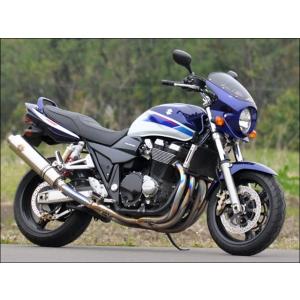 ワールドウォーク（WORLD WARK） GSX1400 ビキニカウル タイプAERO