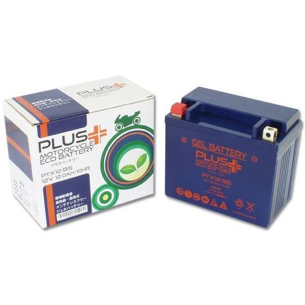 RISE CORPORATION ライズコーポレーション PLUS (プラス) バッテリー ジェルタ...