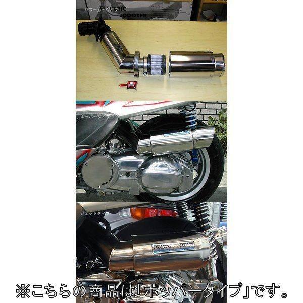 WirusWin ウイルズウィン サイレンサー型エアクリーナーキット ポッパータイプ マジェスティ2...