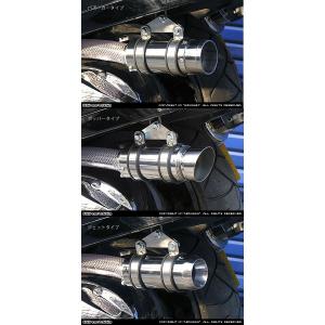 WirusWin（ウイルズウィン） サイレンサー型エアクリーナーキット