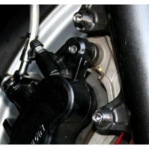 TITANIUM64 チタニウムロクジュウヨン キャリパーマウントボルト CBR250R (MC41...